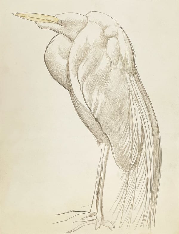 Joseph Stella, Great Egret, No. 1