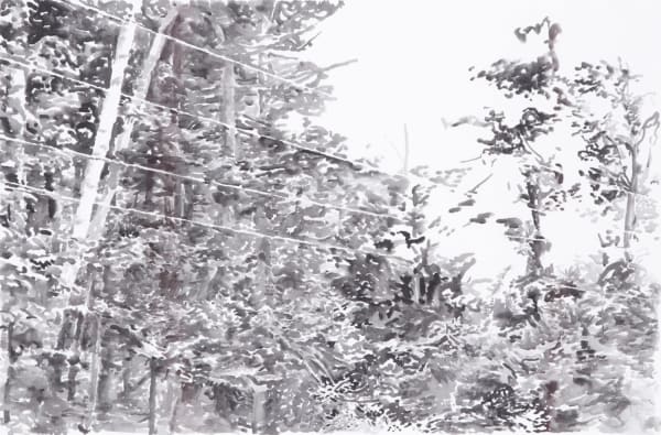 Emily Brown, Untitled Landscape