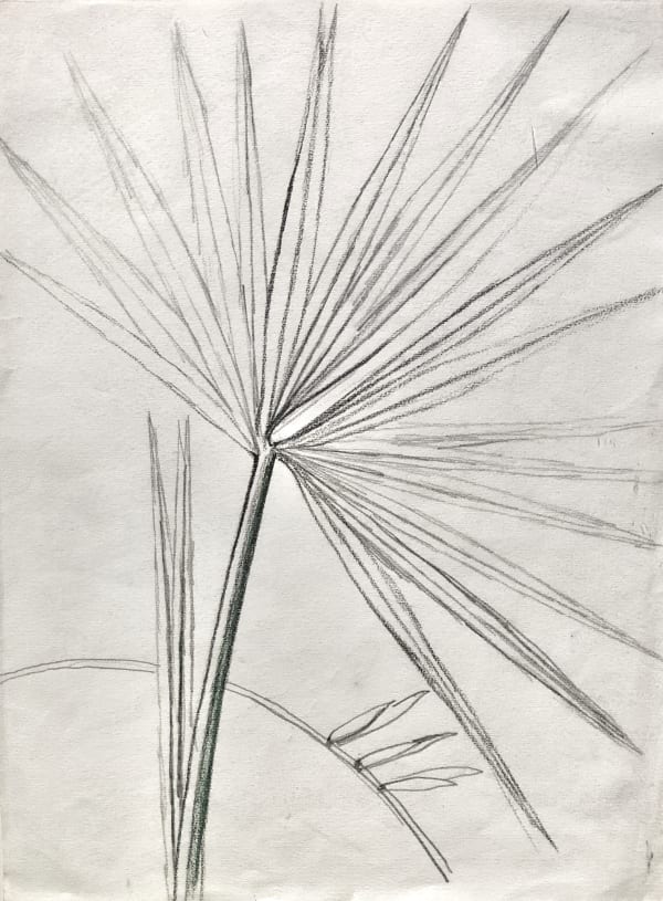 Joseph Stella, Palm Frond