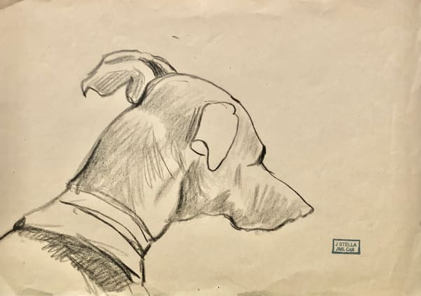 Joseph Stella, Head of a Dog