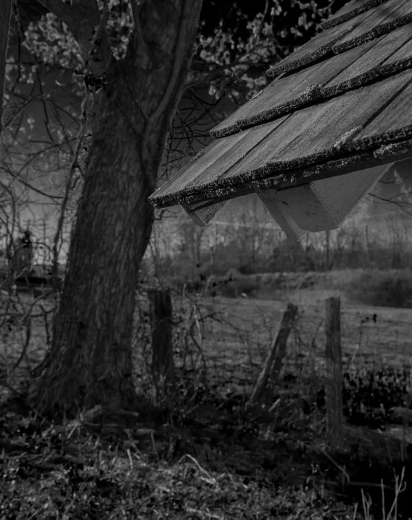 Bill Claps, Full Moon at Kuerner's Farm 6, 2025