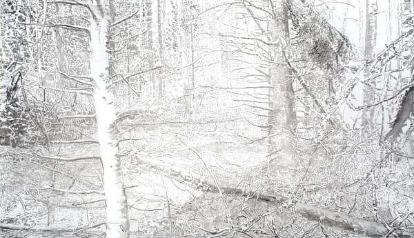 Emily Brown, Creek Bed, 2014