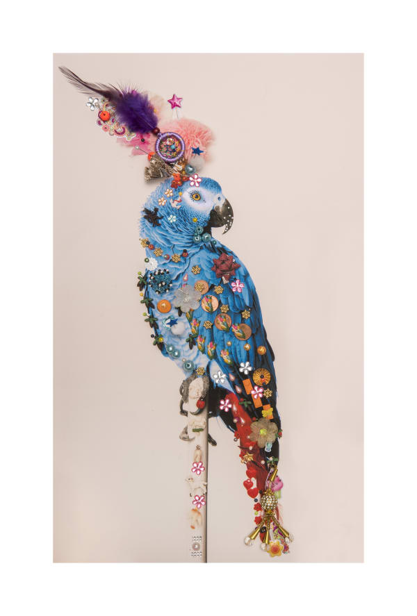 B-Brown & Scheinmann, Love Bird P7 (small edition), 2019