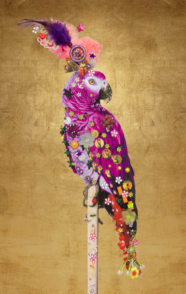 Harvey B-Brown & David Scheinmann, Love bird 1 ( 12 Variations), 2018