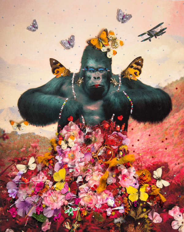 Harvey B-Brown & David Scheinmann, Grayson the Gorilla ( 12 Variations), 2018