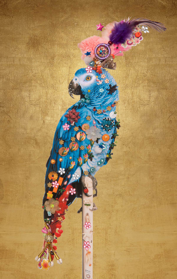 Harvey B-Brown & David Scheinmann, Love bird 2 ( 12 Variations), 2018