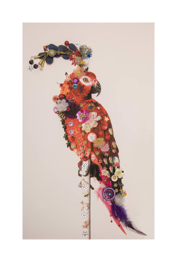 B-Brown & Scheinmann, Love Bird P1 (small edition), 2019