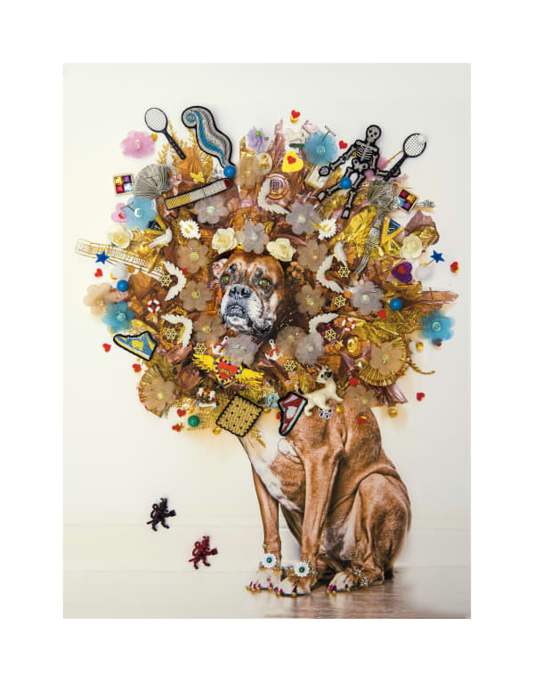 B-Brown & Scheinmann, Lucy 2 (small edition), 2019