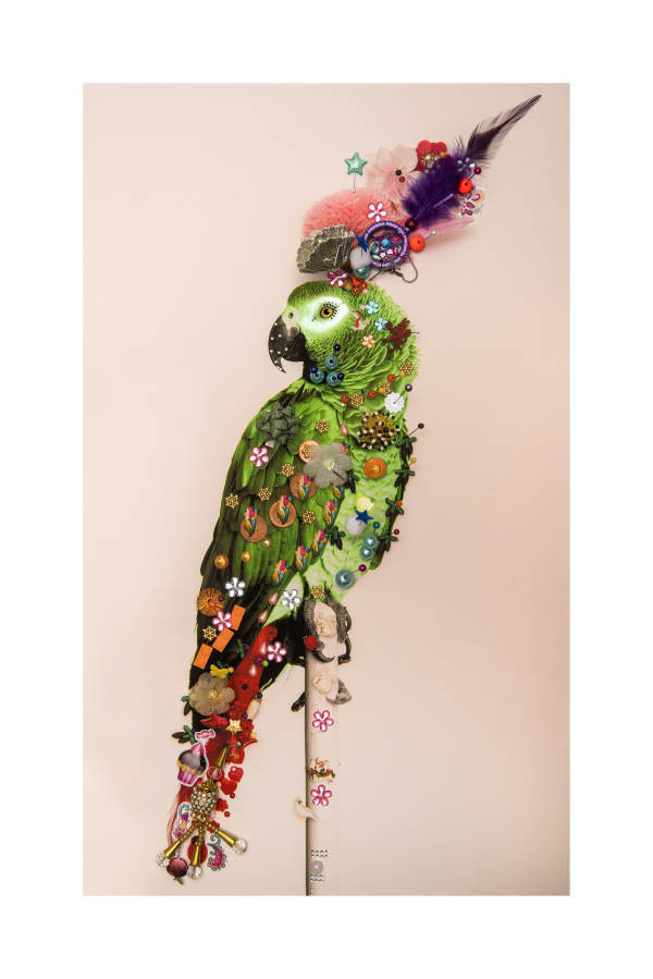 B-Brown & Scheinmann, Love Bird P8 (small edition), 2019