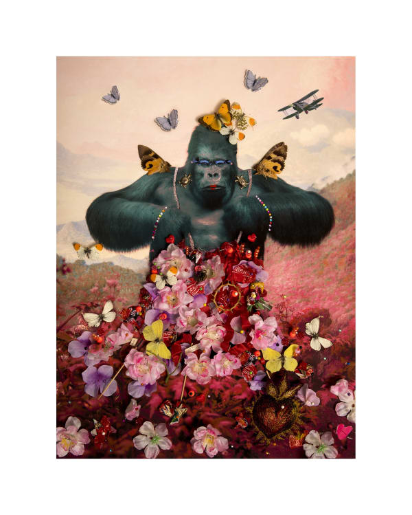 B-Brown & Scheinmann, GRAYSON GORILLA, 2020