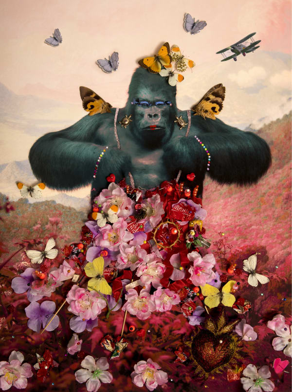 B-Brown & Scheinmann, Grayson Gorilla, 2020