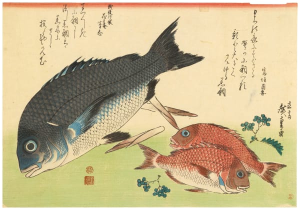 Utagawa Hiroshige (1797-1858), Black Sea Bream, Small Sea Bream, Asparagus Shoots and Sansho Pepper, from the untitled series of Large Fish, circa 1832-33