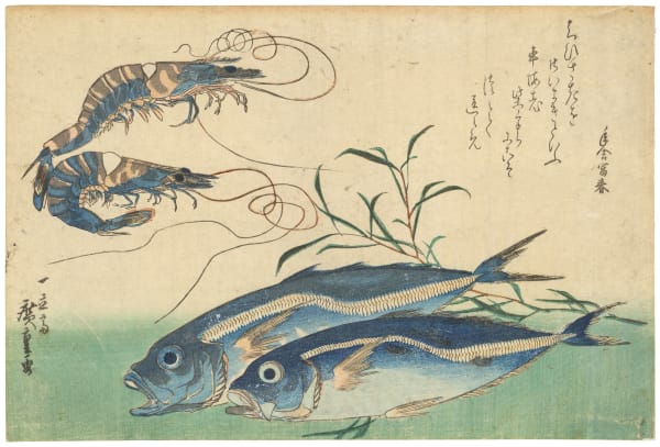 Utagawa Hiroshige (1797-1858), Horse Mackerel, Freshwater Prawns, and Seaweed, from the untitled series of Large Fish, circa 1832–33