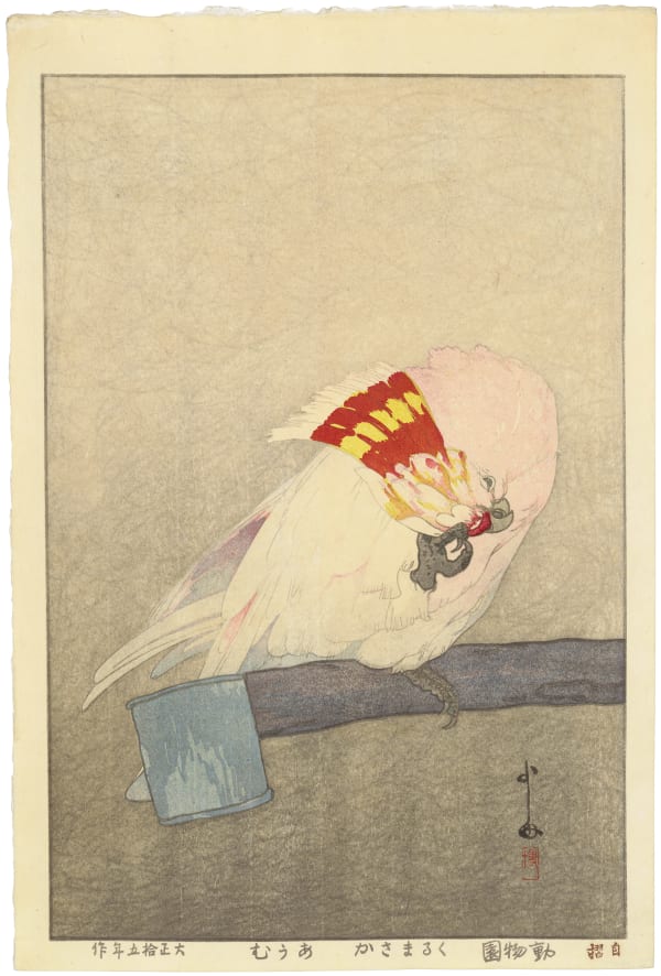 Yoshida Hiroshi (1876-1950), Kurumazaka Parrot (Kurumazaka omu), from the series at a Zoological Garden (Dobutsuen), 1925