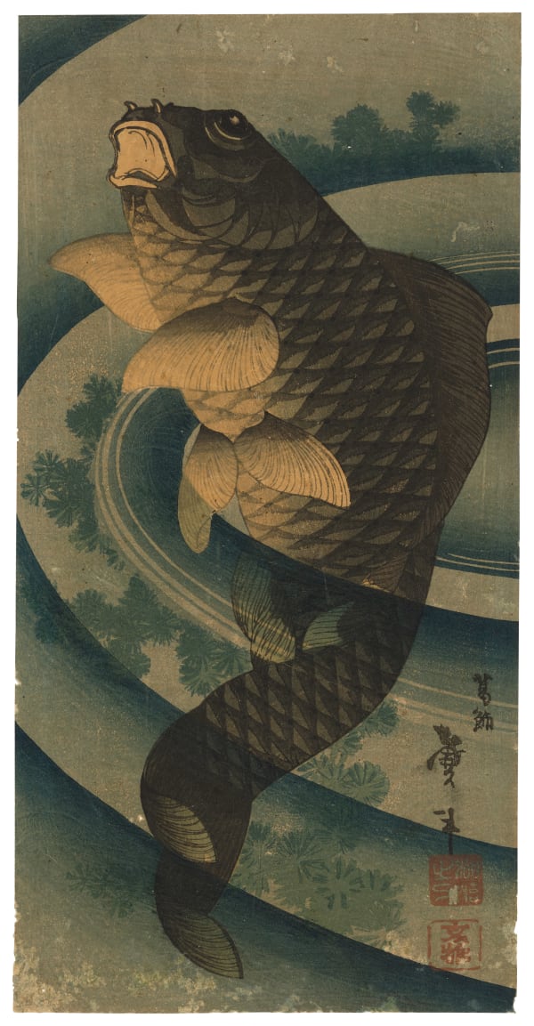 Katsushika Taito II (active circa 1810-1853), Carp swimming upwards among water plants, circa 1840s