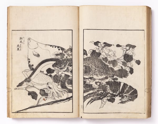 Katsushika Hokusai (1760–1849) Picture Album Transmitting the Spirit: The Hokusai Drawing Style ([Denshin Kaishu] Hokusai gashiki), 1818 Woodblock-printed illustrated book One volume, complete, 1st edition Preface dated: 1818 (Bunsei 1) Preface signed: Keizan Shoshi Binding: fukurotoji (pouch binding), brown covers 26.7 x 18.1 cm. (10 ½ x 7 ⅛ in.)