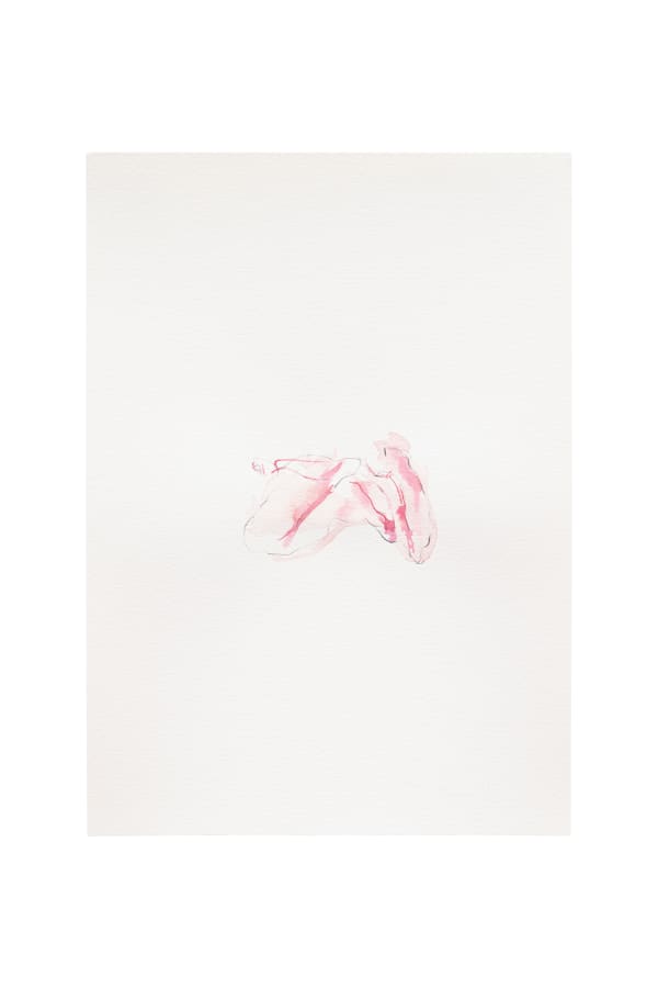 Blanca del Olmo, Mother Cave Studies series, 2025