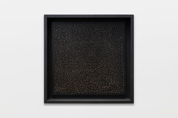 Enric Ansesa, Punts Daurats XXV, 2023