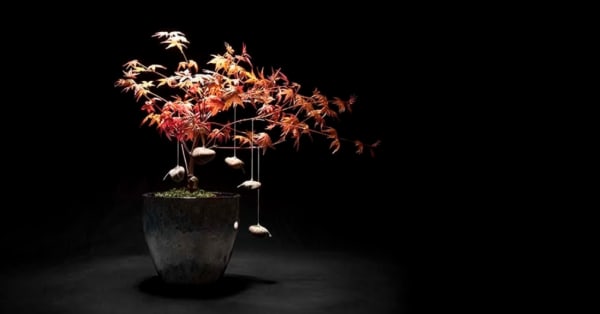 Emily Hanako Momohara from the series "Tending my Grandmother’s Garden"