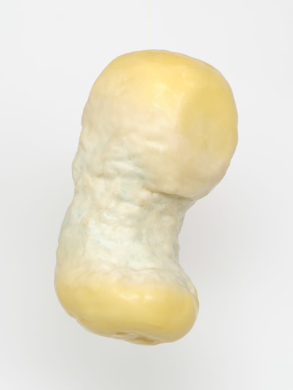 Wax Cocoon, 2023