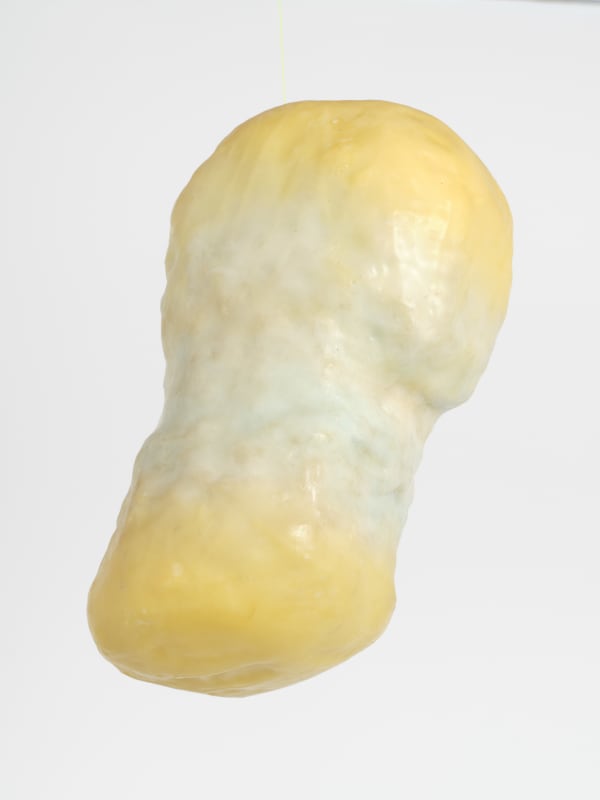 Wax Cocoon, 2023