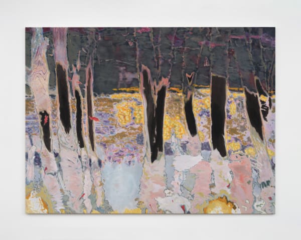 Cheung Tsz Hin, veil on juxtaposed scenes, 2025