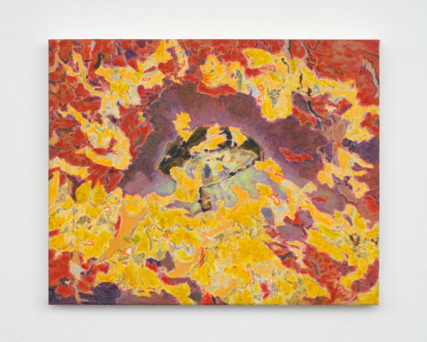 Cheung Tsz Hin, crimson light, 2025