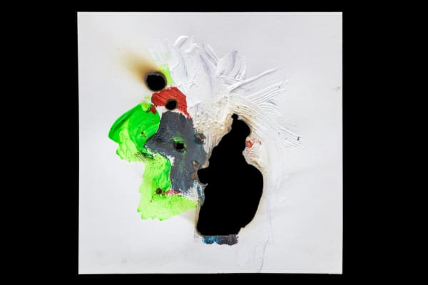 Adam Tylicki Untitled, 2017 Acrylic paint on burnt paper with sunlight