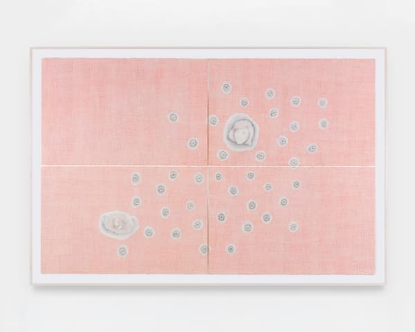 Paolo Colombo, Untitled (Hedgehog), 2021