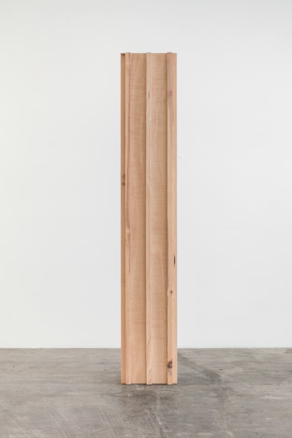 Rising column, a sense of absence, 2017