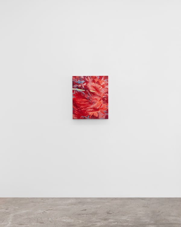 Untitled, 2023