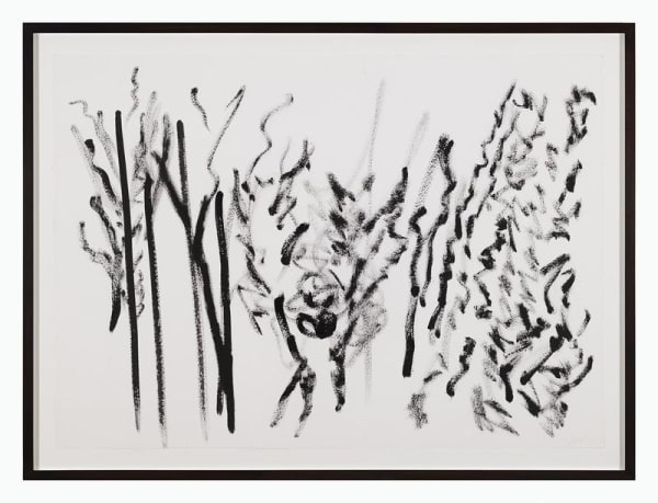 Study for a Panel (Trees) 5