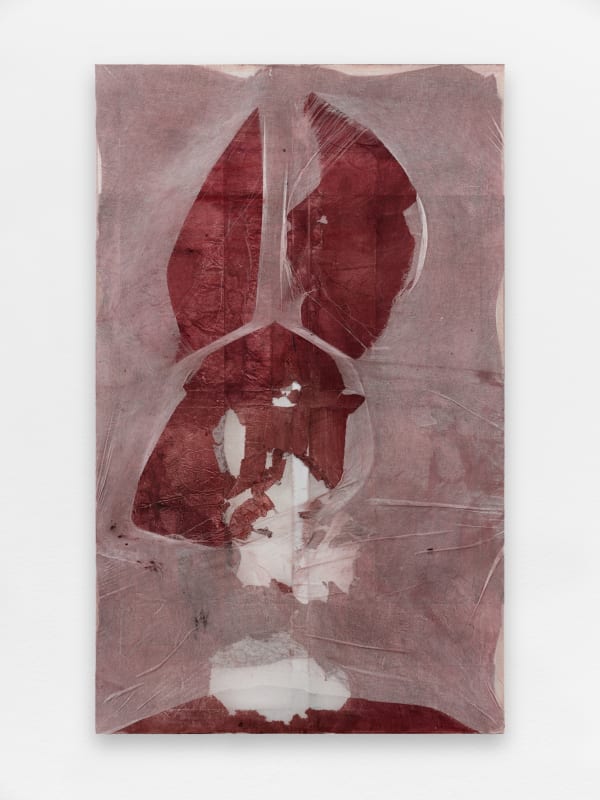 Minh Lan Tran In the Beginning was the Cry, 2025 Gauze paper and pigment 180 x 110 cm 70 7/8 x 43 1/4 in