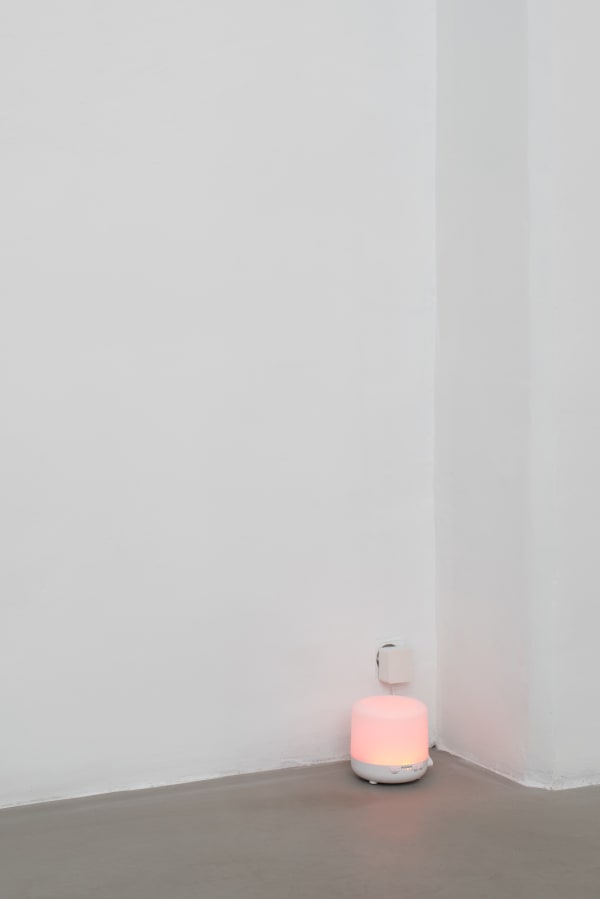 Puppies Puppies (Jade Guanaro Kuriki-Olivo) Rose diffusers, 2024 Essential oil diffuser, rose essential oil Dimensions Variable