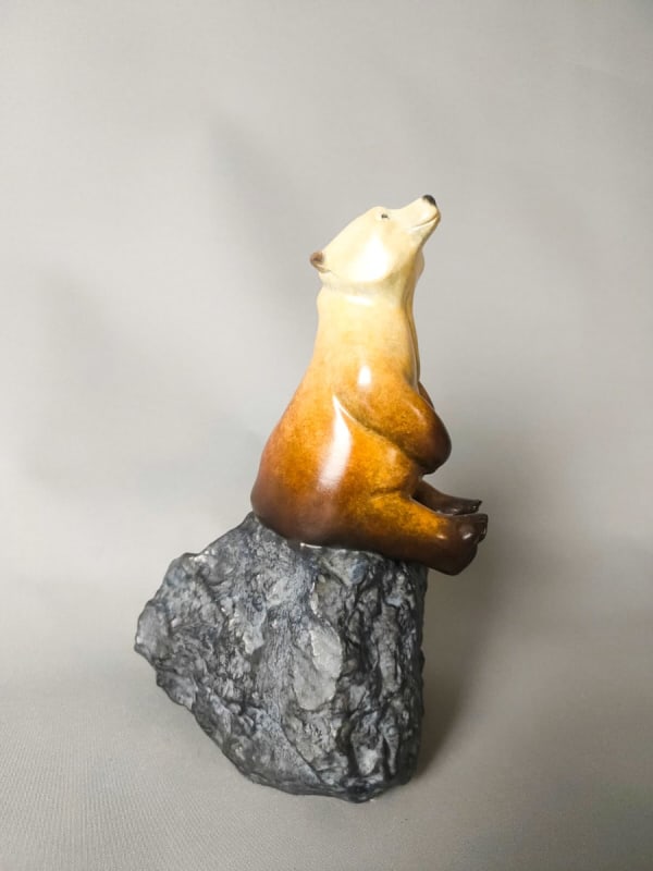 David Meredith, Stargazer