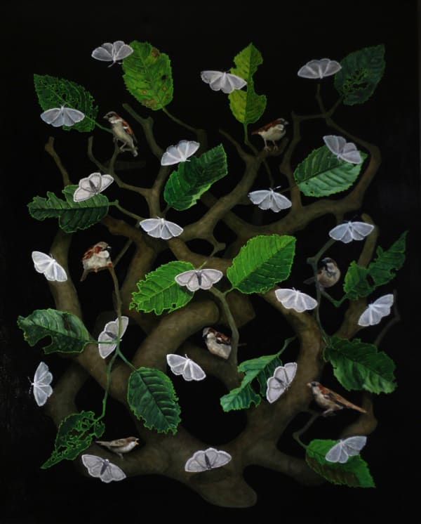 Andrew Thompson, Cherry Tree