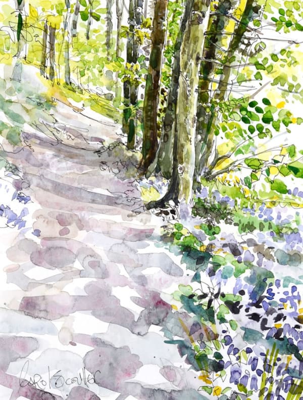 Carol Scouller - Bluebell Path