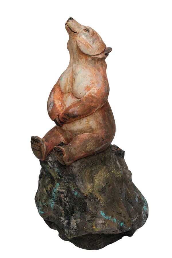 David Meredith, Star Gazer