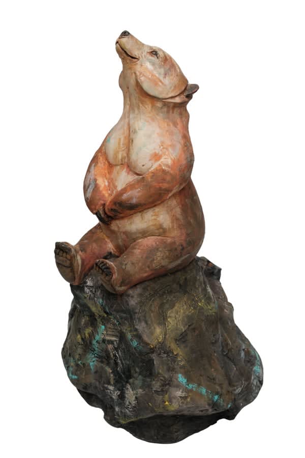 David Meredith, Stargazer