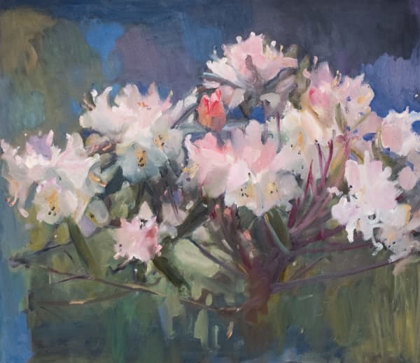 Marion Drummond, Rhododendrons - En Plein Air