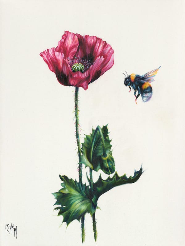 Georgina McMaster, Summer Scent