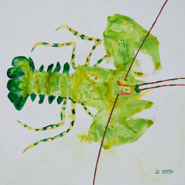 David Smith RSW, Green Lobster