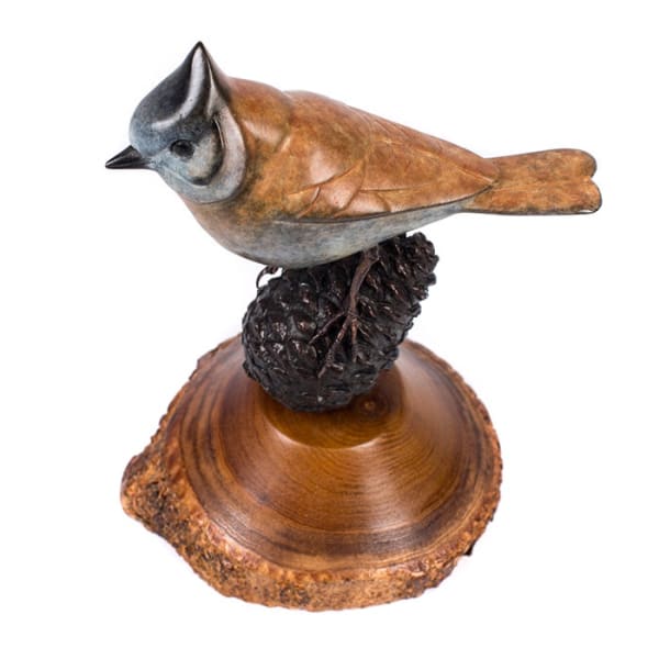 David Meredith, Crested Tit on Pine Cone