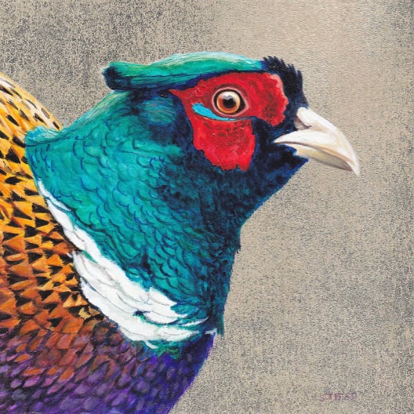 Stanley Bird, Pleasant Pheasant
