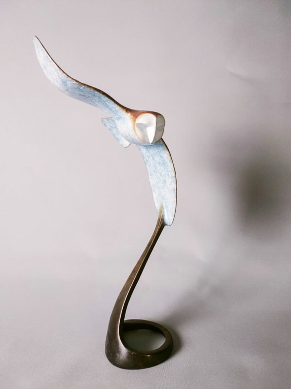 David Meredith, Small Barn Owl in Flight