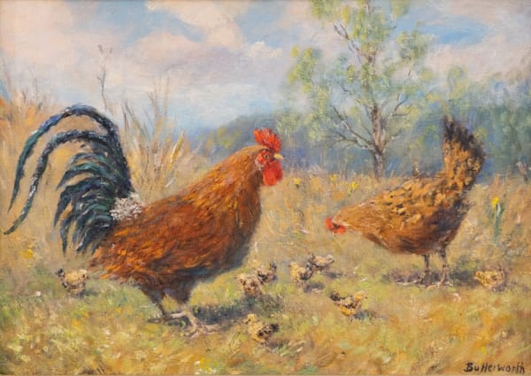Misc Private Sales A-Z, Howard Butterworth - Hens