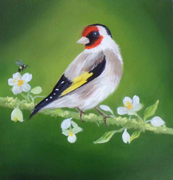 Ruth Corbett, Goldfinch