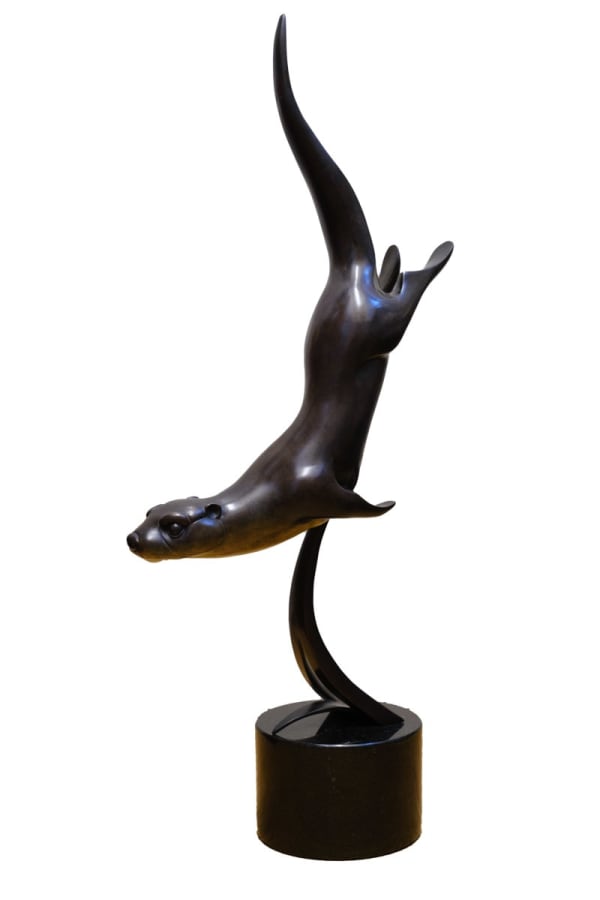 David Meredith, Diving Otter