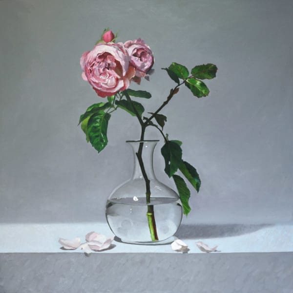 Andrew Thompson, Rose