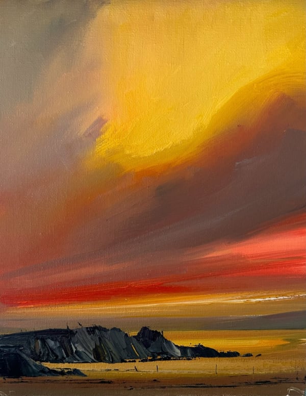 Rosanne Barr, St Cyrus At Sunset